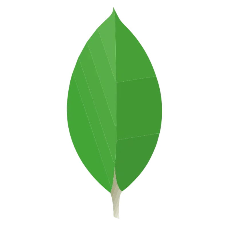 MongoDB